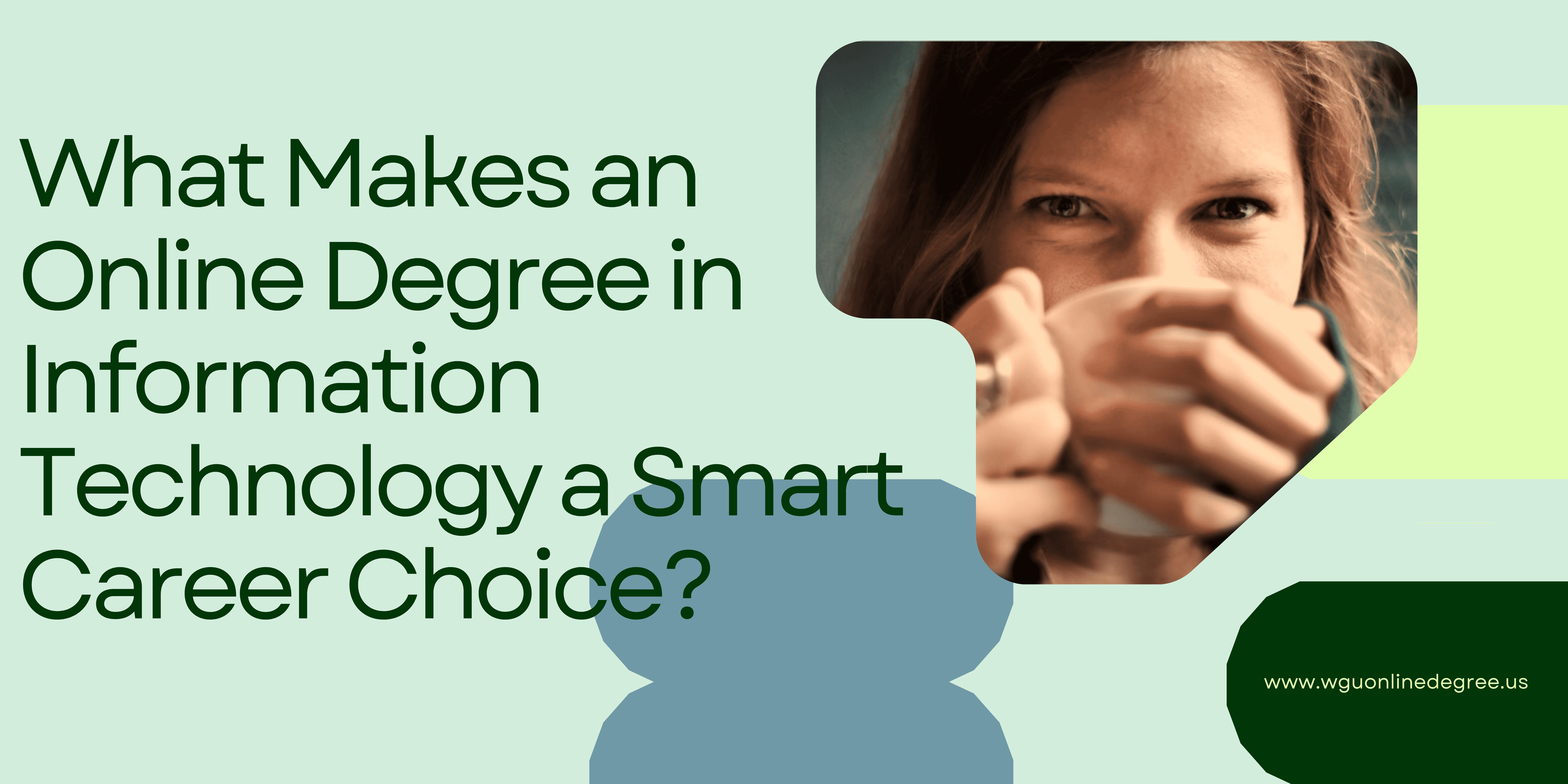 What Makes an Online Degree in Information Technology a Smart Career Choice?