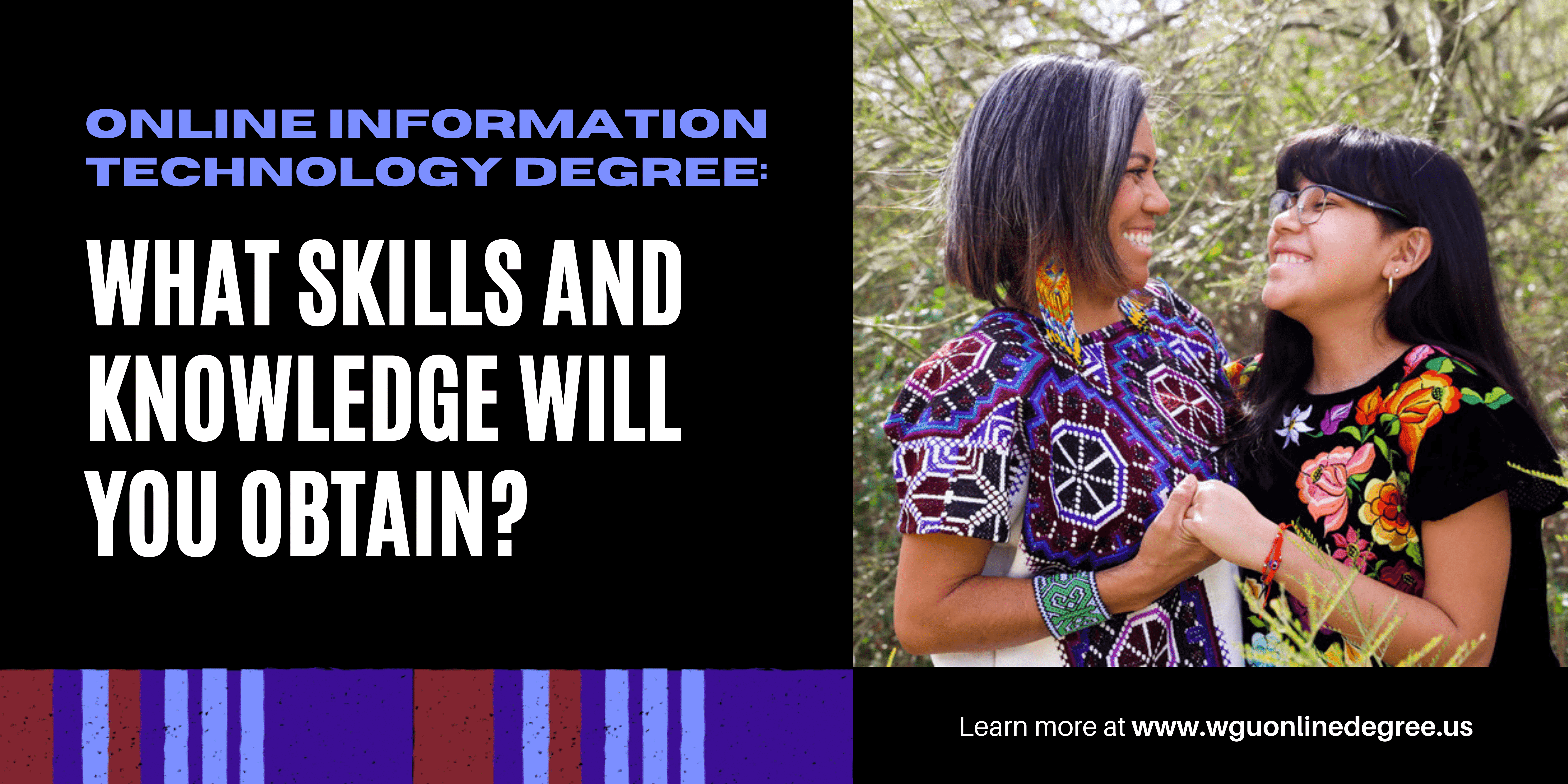 Online Information Technology Degree: What Skills and Knowledge Will You Obtain?